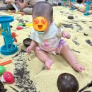 마이리틀콘서트 | 순천 이마트 문화센터 후기 :: 리틀자이언트 하와이여행 (찰기장 촉감놀이)ㅣ사막여행 (알로에 촉감놀이)