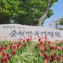 순천만국가정원 이미지