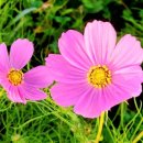 고성국민체육센터(2층) 이미지