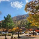 서울카오토타운 | 여주산촌오토캠핑장 방문 후기 — 서울에서 한시간 거리