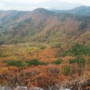 남구-058 Daum카페