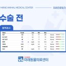 미래종합동물병원 이미지