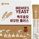 힐링맥주