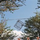 묘곡경로당 이미지