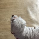 여주-0309 이미지