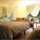 자연숲민박 이미지