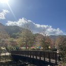 인성만두 | 좌구산 별천지숲인성학교 다녀온 후기