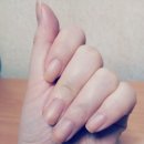 샤인종합화장품