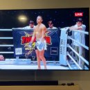 한국은행 피트니스 | 코사무이 무에타이 DTV 비자 5년 태국 한달살기 장기거주