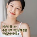 진셀