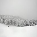 번개목장 이미지