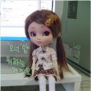 소피아네