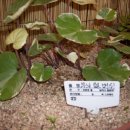 동의중학교 이미지