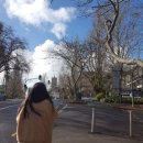 바보온달 이미지