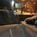 안녕, 펫 이미지