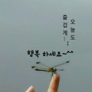 군군 이미지