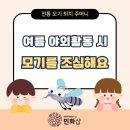 채색 우리 민화 | [교과과정 영상자료&amp;PPT수업자료] 민화샵 전통 모기 퇴치 주머니 여름 야외활동 시 모기를 조심해요