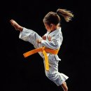 사람이아름다운태권도 이미지