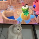 수민이네국수카페 | 너도 내 방식을 좋아해🎵💫🎶