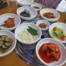 철마우림