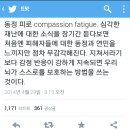 동정피로(compassion fatigue)에 관한 정신건강의학과 의사분 트윗 이미지