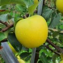 준 농장 이미지