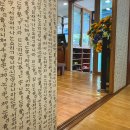 우일카센타 이미지