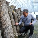 해피팜스토리