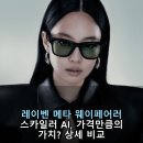 레이벤 메타 웨이페어러 스카일러 AI, 가격만큼의 가치? 상세 비교