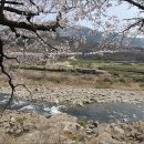 화개119지역대 이미지