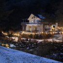 자작나무 | 인제펜션 '굿모닝펜션' 후기, 인제자작나무숲 근처/계곡품은 숙소 추천, 할인링크