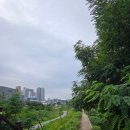 유통단지 신기공원 앞 | 우리들은 벗중의 벗 관계는 너무나 깊어