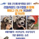 오렌지 커머스 이미지