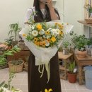일로브 이미지