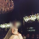 달팽이커피앤필름