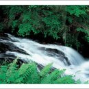 계곡&풍경 이미지