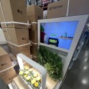 11590-130 | 코스트코 10월 할인상품 휴무일 미리보는 크리스마스 상품