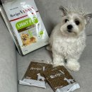 (유)호성양행 | 다이어트사료 | 맛있는사료, 레시피브이로얄 후기