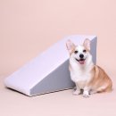 초코펫하우스
