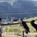 거북숙박 이미지