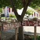 리누갤러리제이컬쳐앤비즈 | 금산카페 리누갤러리제이컬쳐앤비즈