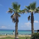 우도자동차정비 이미지