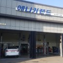 애니카랜드 포승점 이미지