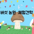 두리어린이집 이미지