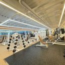 짐에센셜 이미지