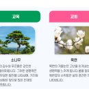 경주화랑고등학교 이미지