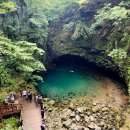 10월26일(일) 포천 명성산+Y형 출렁다리+비둘기낭폭포 이미지