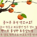 순천-28호 이미지