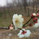 서재농장 이미지