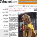 (주)견공 이미지